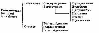 Типи розмноження організмів.. і на шо вони поділяються